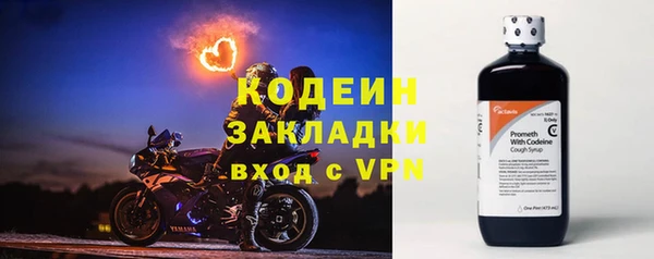 стаф Богданович