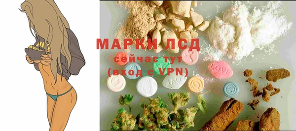 стаф Богданович