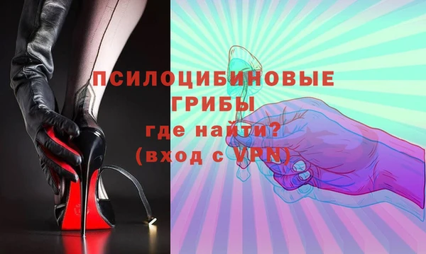спайс Богородицк