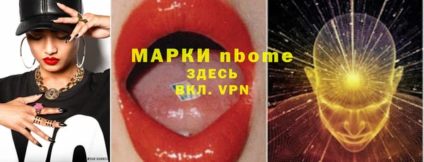 стаф Богданович